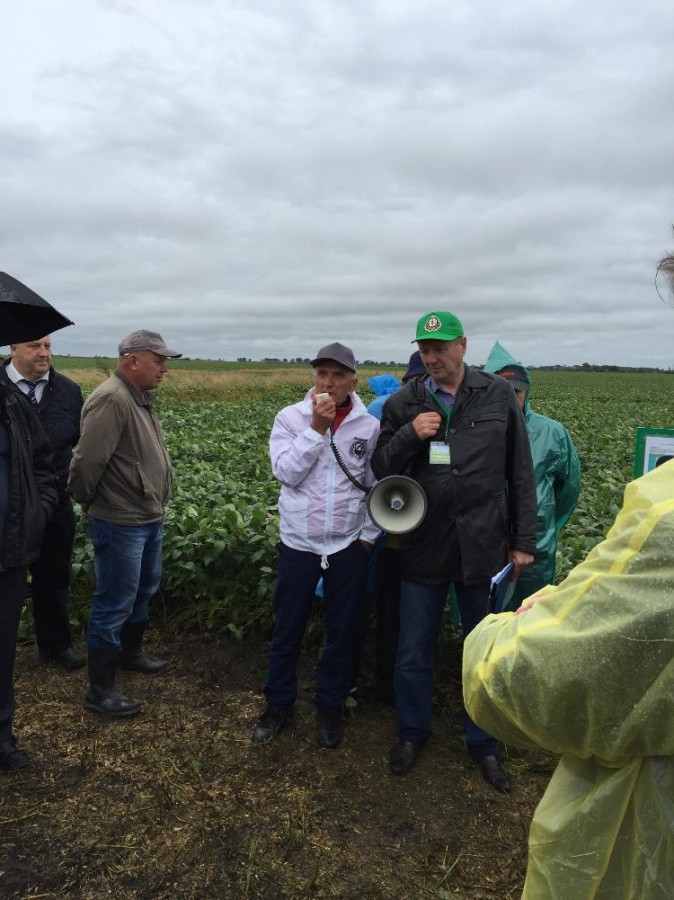 All-Russian Soybean Day