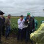 All-Russian Soybean Day