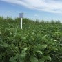 Seminar for farmers