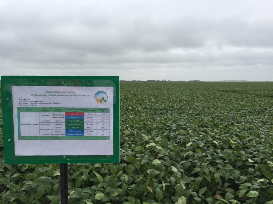 All-Russian Soybean Day