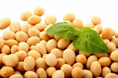 ANK purchaises SOYBEANS