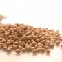 We invite you to the seminar: "Technology of stable obtaining of soybean crops from 20 centners / hectare with Canadian Prograin seeds"